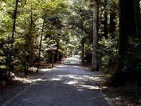 マウスクリックで拡大/縮小します