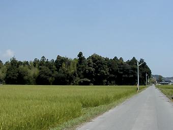 マウスクリックで拡大/縮小します