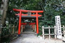 マウスクリックで拡大/縮小します