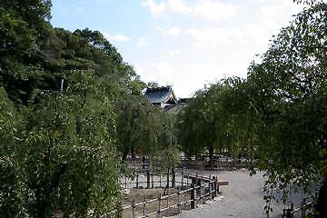 マウスクリックで拡大/縮小します