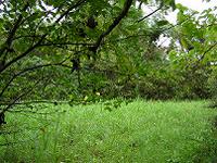 マウスクリックで拡大/縮小します