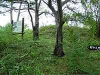 マウスクリックで拡大/縮小します