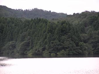 マウスクリックで拡大/縮小します