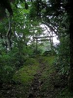 マウスクリックで拡大/縮小します