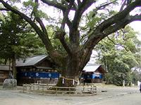 マウスクリックで拡大/縮小します