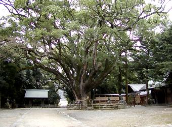 マウスクリックで拡大/縮小します