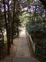 マウスクリックで拡大/縮小します