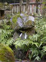 マウスクリックで拡大/縮小します