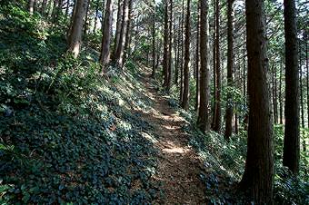 マウスクリックで拡大/縮小します