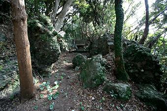 マウスクリックで拡大/縮小します