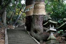 マウスクリックで拡大/縮小します