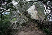 マウスクリックで拡大/縮小します