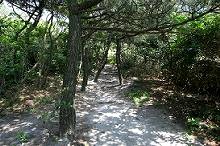 マウスクリックで拡大/縮小します