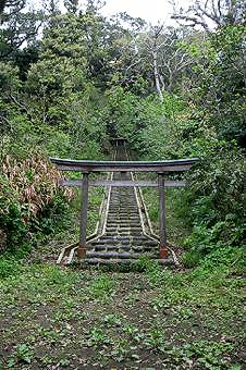 マウスクリックで拡大/縮小します