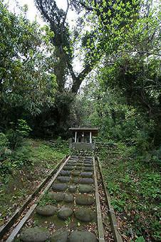 マウスクリックで拡大/縮小します