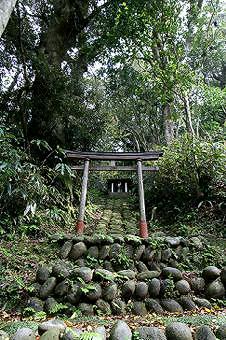 マウスクリックで拡大/縮小します