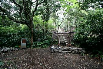 マウスクリックで拡大/縮小します