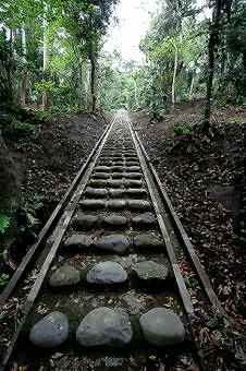 マウスクリックで拡大/縮小します