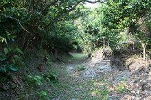 マウスクリックで拡大/縮小します