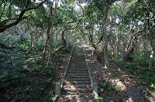 マウスクリックで拡大/縮小します