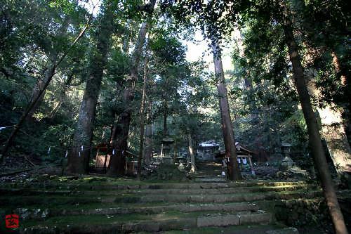 マウスクリックで拡大/縮小します