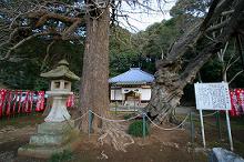 マウスクリックで拡大/縮小します