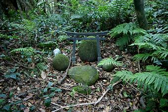 マウスクリックで拡大/縮小します