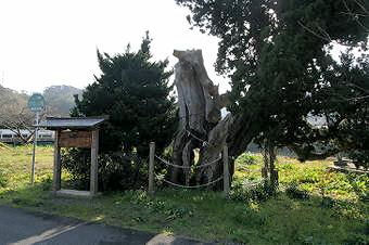 マウスクリックで拡大/縮小します