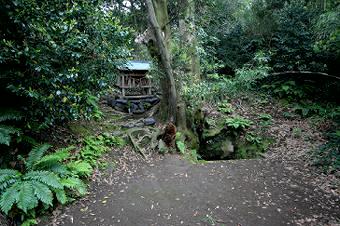 マウスクリックで拡大/縮小します