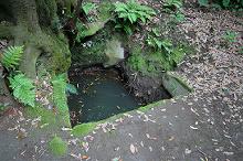 マウスクリックで拡大/縮小します