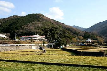 マウスクリックで拡大/縮小します