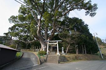 マウスクリックで拡大/縮小します