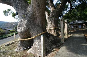 マウスクリックで拡大/縮小します