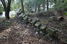 マウスクリックで拡大/縮小します