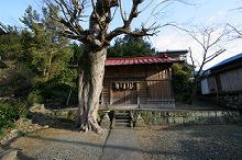 マウスクリックで拡大/縮小します