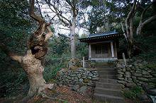 マウスクリックで拡大/縮小します