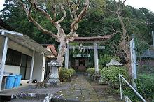 マウスクリックで拡大/縮小します