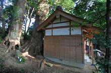 マウスクリックで拡大/縮小します