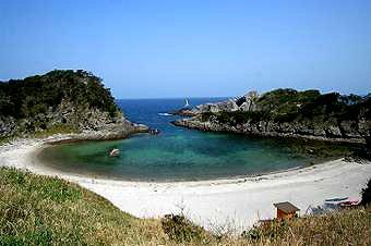 マウスクリックで拡大/縮小します