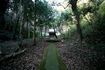 マウスクリックで拡大/縮小します