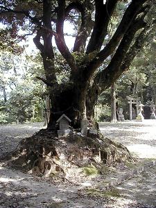 マウスクリックで拡大/縮小します