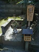 マウスクリックで拡大/縮小します