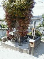 マウスクリックで拡大/縮小します