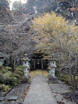 マウスクリックで拡大/縮小します