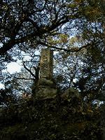 マウスクリックで拡大/縮小します