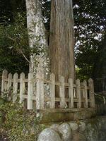 マウスクリックで拡大/縮小します