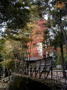 マウスクリックで拡大/縮小します