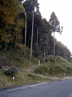 マウスクリックで拡大/縮小します