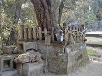 マウスクリックで拡大/縮小します