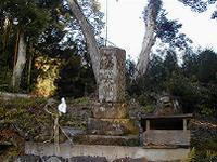 マウスクリックで拡大/縮小します